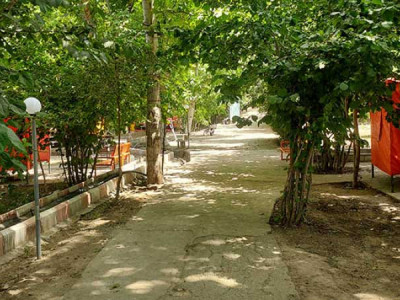 باغ تفریحی گل رز